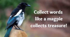 Collect words like a magpie collects treasure!