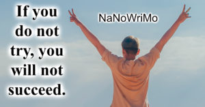 If you don't try, you won't succeed.